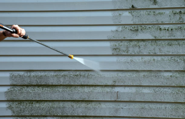 Best Restaurant Pressure Washing  in Brazoria, TX