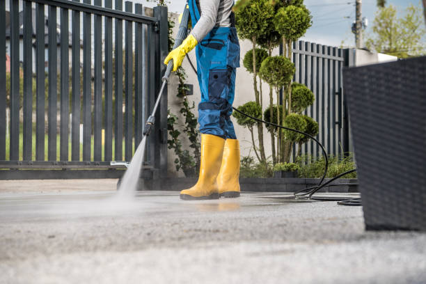 Best Patio and Deck Pressure Washing  in Brazoria, TX