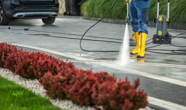 Trusted Brazoria, TX Pressure Washing Experts
